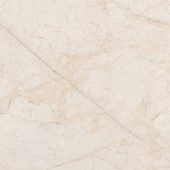 Egeo Ivory | Xana System