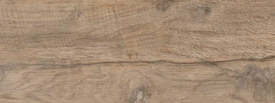 Nebraska Elm | Xana System