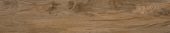 Nebraska Oak | Xana System