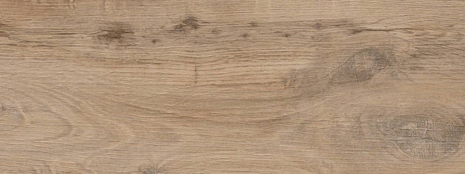 Nebraska Elm