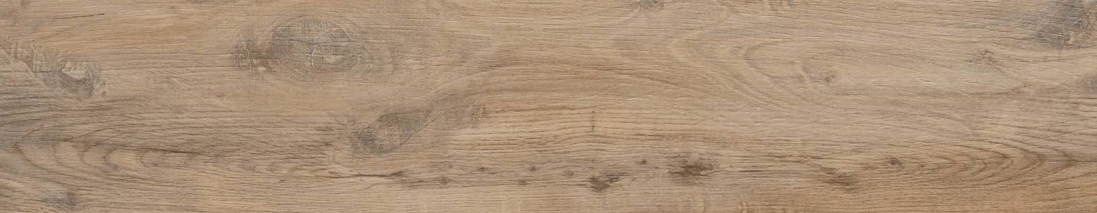 Nebraska Elm