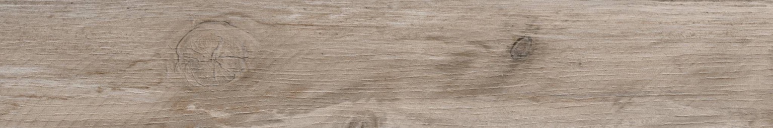 Nebraska Maple
