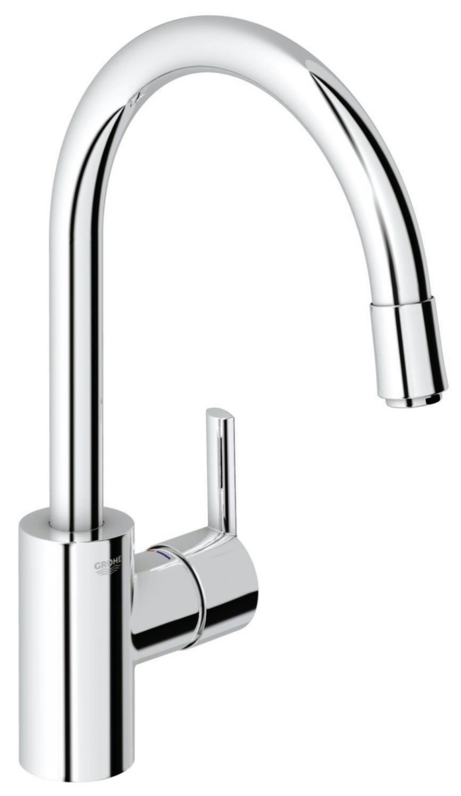 Swan 02