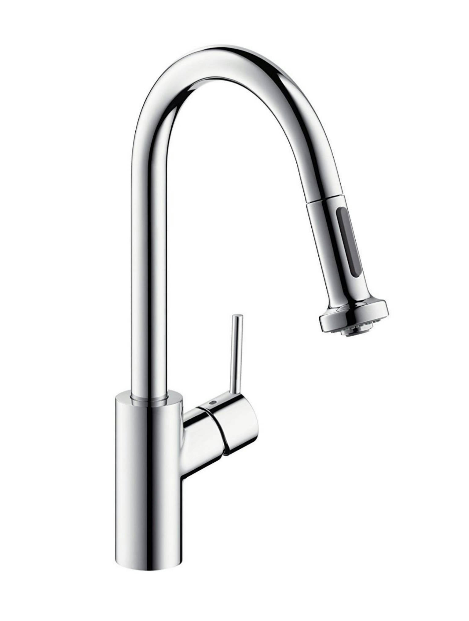 Swan 04